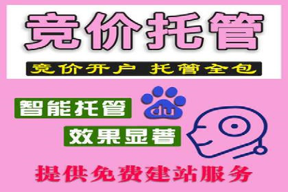 SEM营销推广案例：揭秘行业龙头企业的推广策略